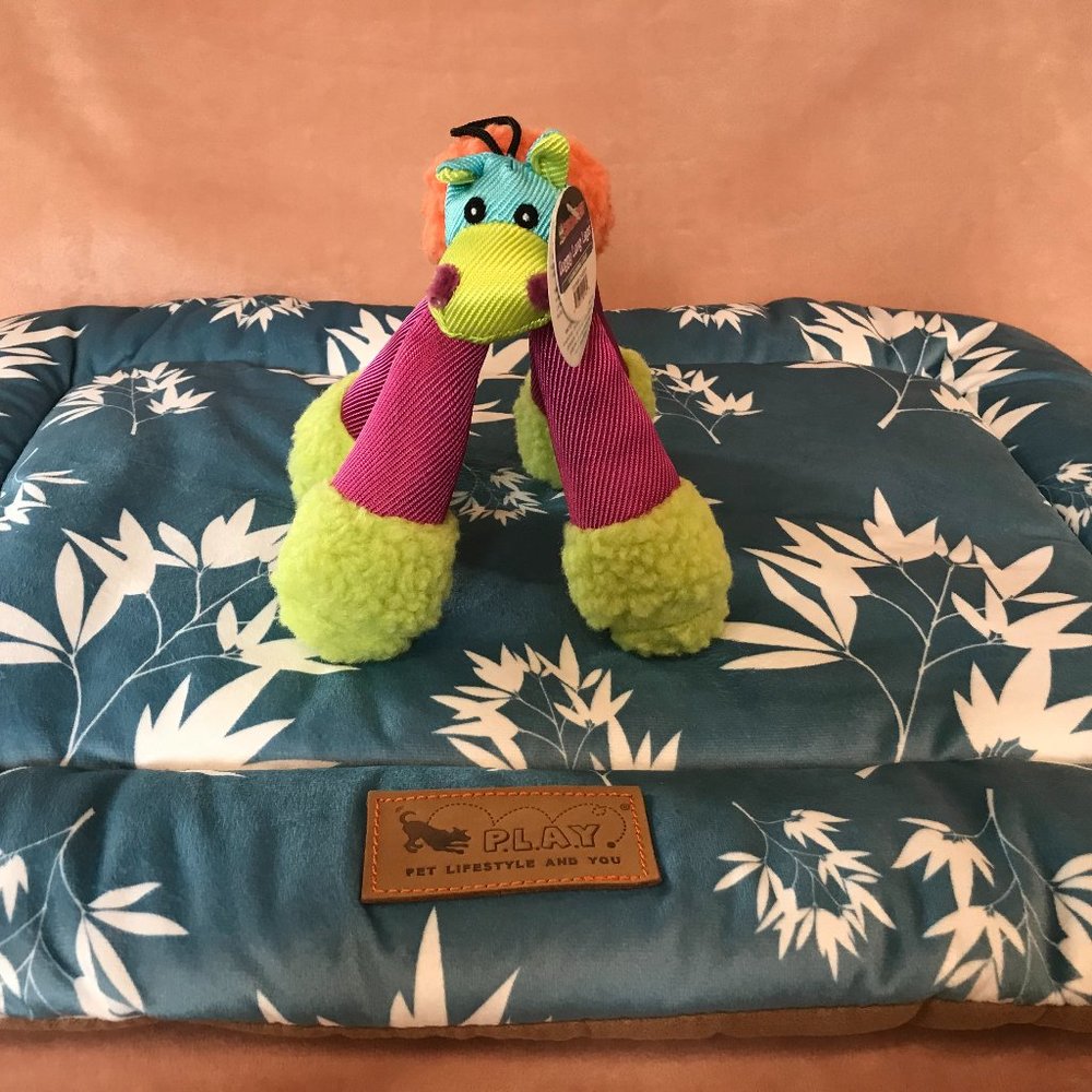 Pet Play Dog Bed (small) and New Toy
